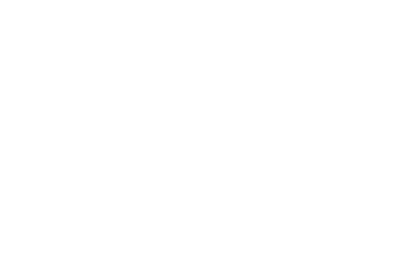 شکل تزئینی گرافیکی