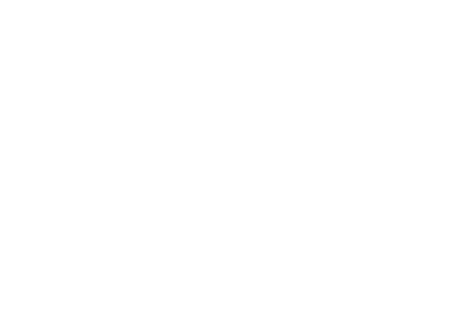 شکل تزئینی گرافیکی